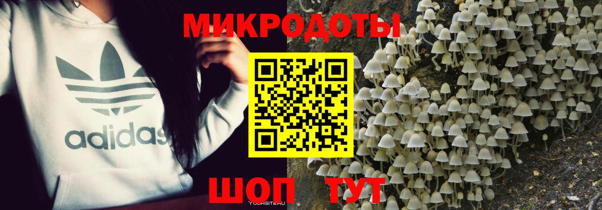 купить   Галлюциногенные грибы Psilocybe  Вход с VPN  Галлюциногенные грибы Magic Shrooms  Сосновый Бор 